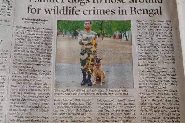 WhatsApp Image 2020-07-11 at 10.43.20 PM (1)