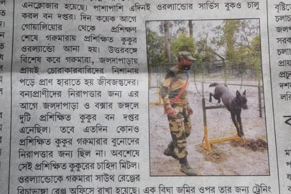 WhatsApp Image 2020-07-11 at 10.44.46 PM (1)