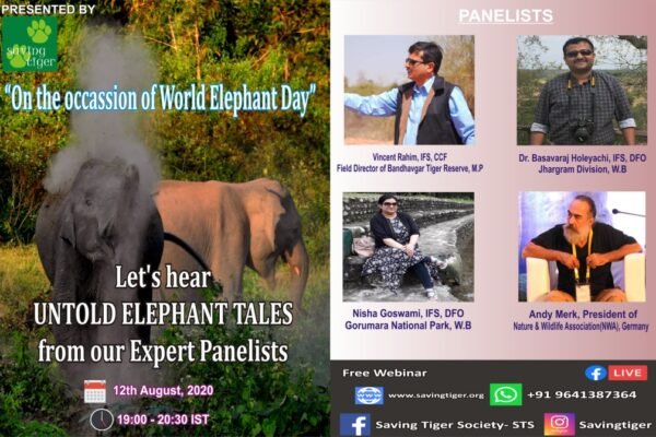 1_NEW_banner_elephant_day